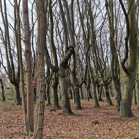 Achterwasser Appartement Lutow